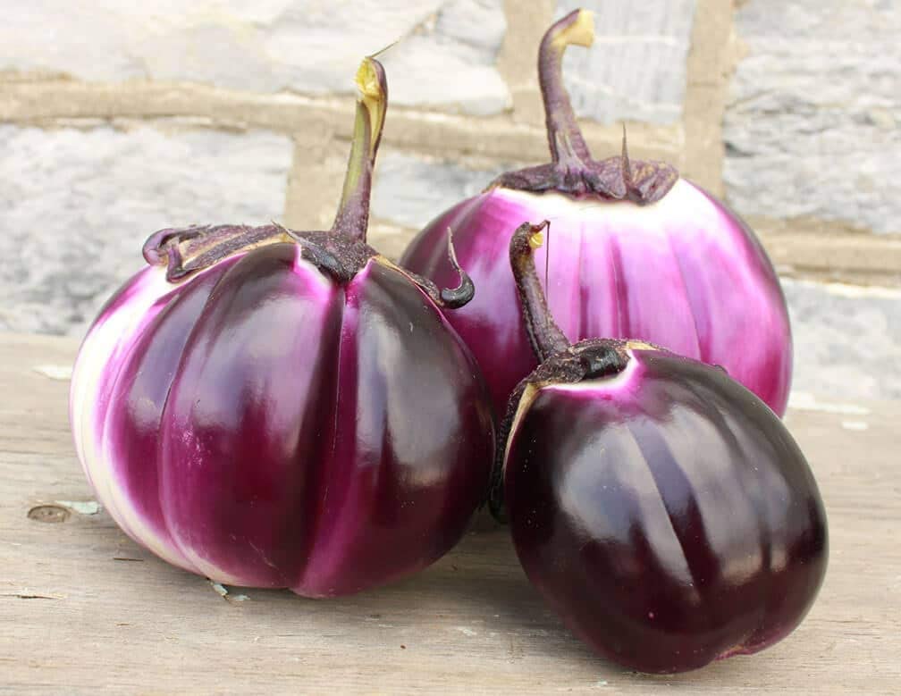 Barbarella Hybrid Eggplant, 20 Heirloom Seeds Per Packet, Non GMO Seeds