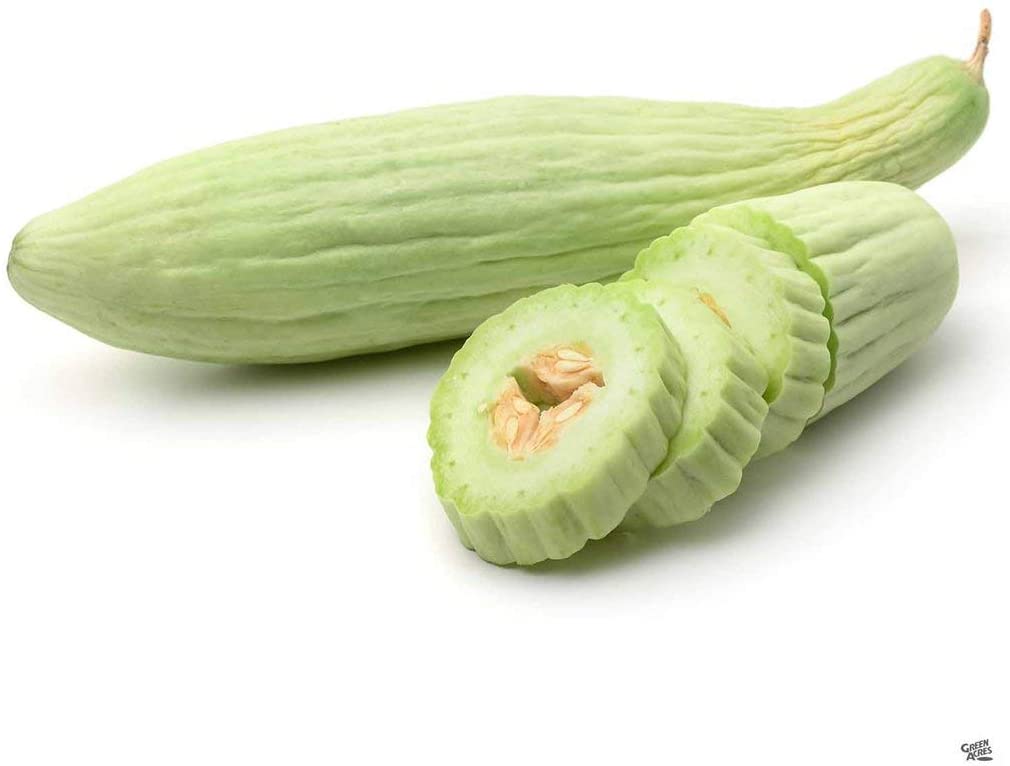 Armenian Pale Green Slicing Cucumber