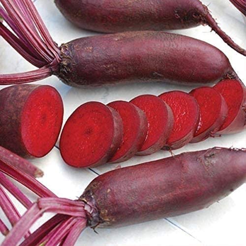 Cylindra Beet Seeds, 100 Heirloom Seeds Per Packet, Non GMO Seeds