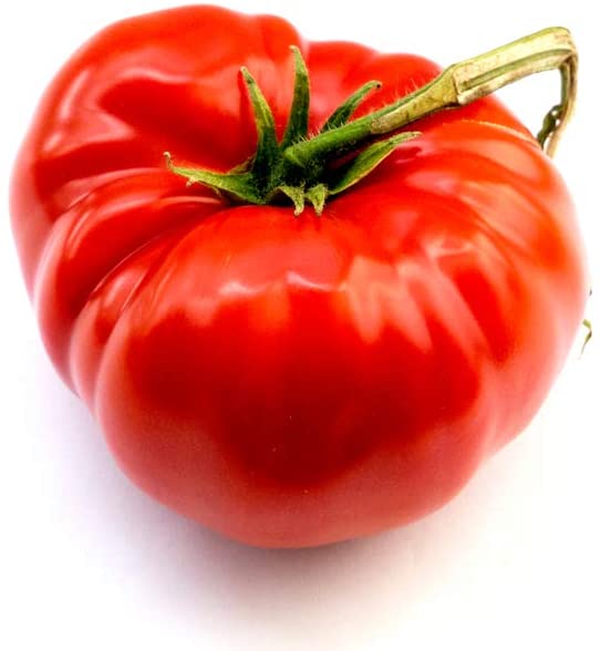 Delicious Giant Tomato, 50 Heirloom Seeds Per Packet, Non GMO Seeds