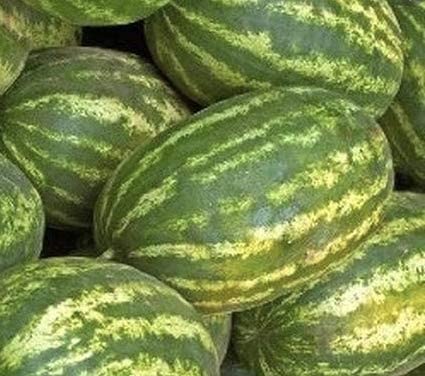 Striped Klondike Watermelon