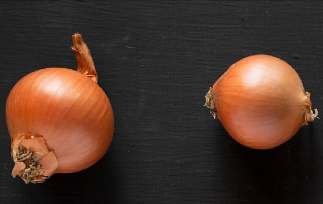 Texas Early Grano Onion, 300 Heirloom Seeds Per Packet, Non GMO Seeds