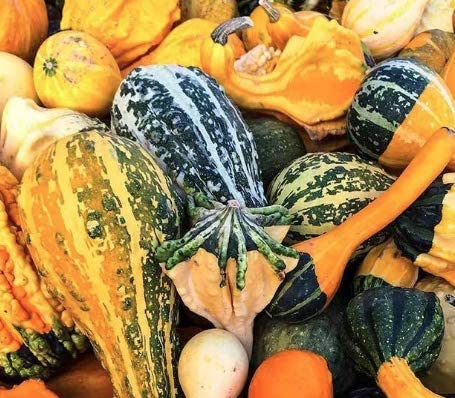 Large Gourd Mix