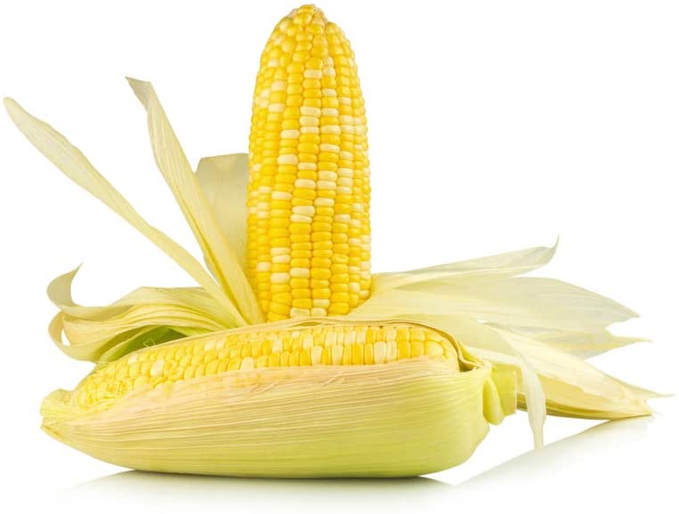 Ambrosia Hybrid Sweet Corn, 50+ Heirloom Seeds Per Packet, Non GMO Seeds, Botanical Name: Zea Mays