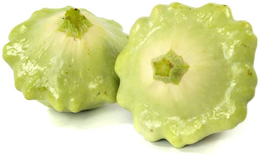 Bennings Green Tint Summer Squash, 30 Heirloom Seeds Per Packet, Non GMO Seeds