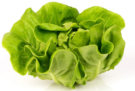 Tom Thumb Butterhead Lettuce Seeds, 1000+ Heirloom Seeds Per Packet, Non GMO Seeds, Botanical Name: Lactuca sativa