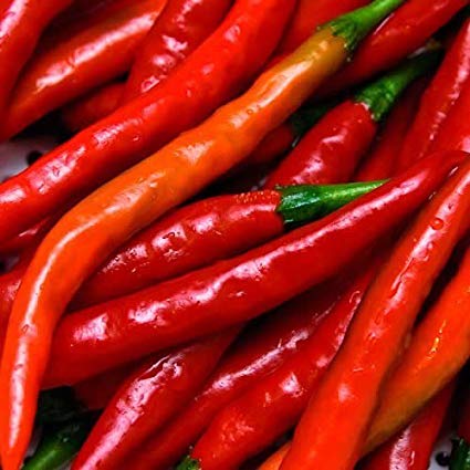 Cayenne Pepper Seeds, 100 Heirloom Seeds Per Packet, Non GMO Seeds