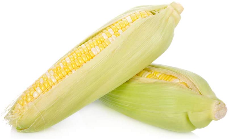 "Coastal" Bi-Color Sweet Corn Seeds, 50+ Seeds Per Packet, Non GMO Seeds, Botanical Name: Zea mays