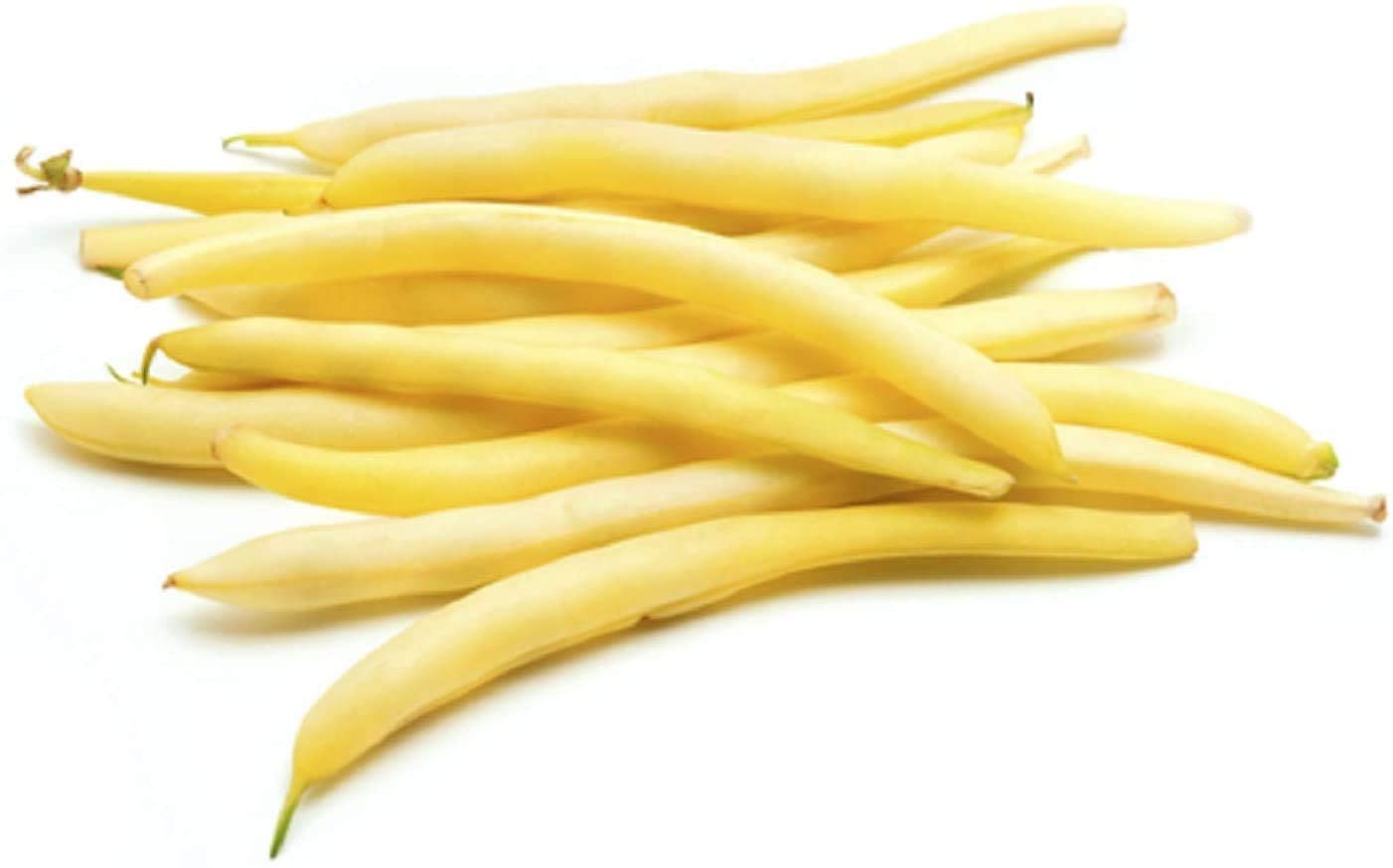 Cherokee Wax Bush Bean, 50 Heirloom Seeds Per Packet, Non GMO Seeds