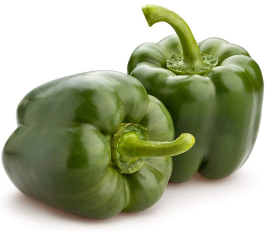 California Wonder 300 TMR Bell Pepper, 100 Heirloom Seeds Per Packet, Non GMO Seeds