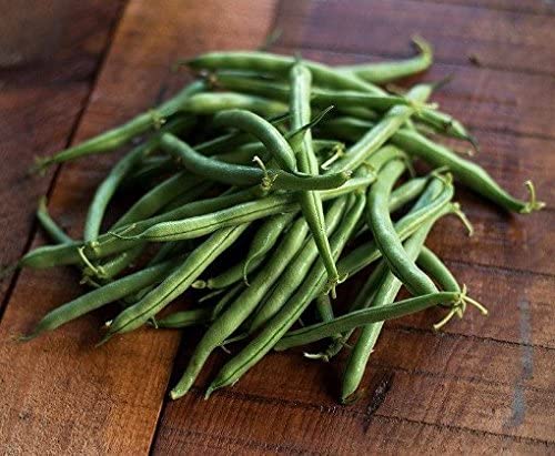 Tendergreen Bush Bean, 50 Heirloom Seeds Per Packet, Non GMO Seeds