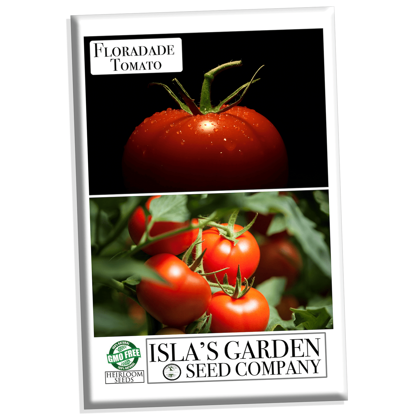 Floradade Tomato