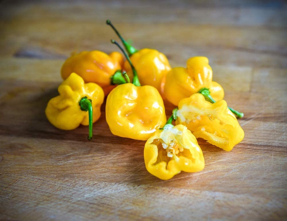 Lemon Habañero Hot Pepper, 25 Heirloom Seeds Per Packet, Non GMO Seeds