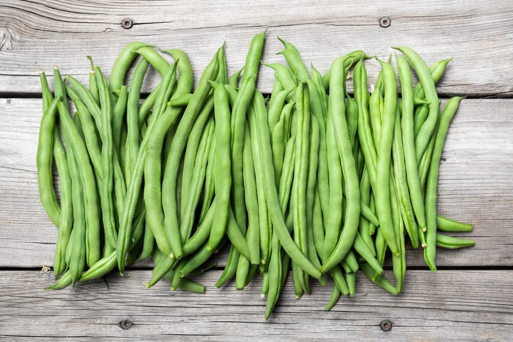 Blue Lake Pole Bean FM1K, 50 Heirloom Seeds Per Packet, Non GMO Seeds