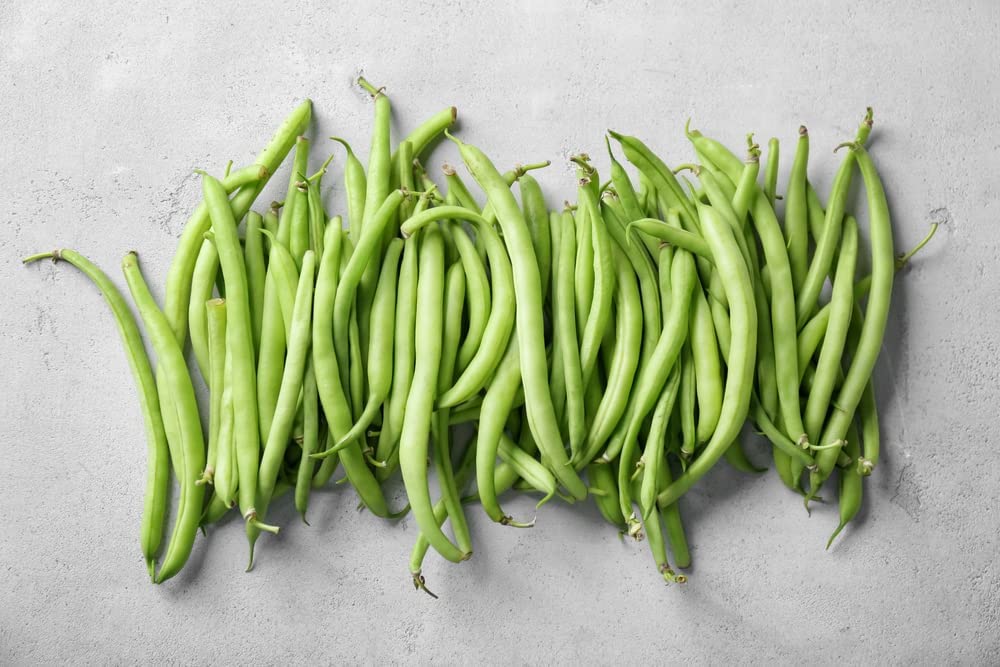 Kentucky Blue pole bean, 30 Heirloom Seeds Per Packet, Non GMO Seeds