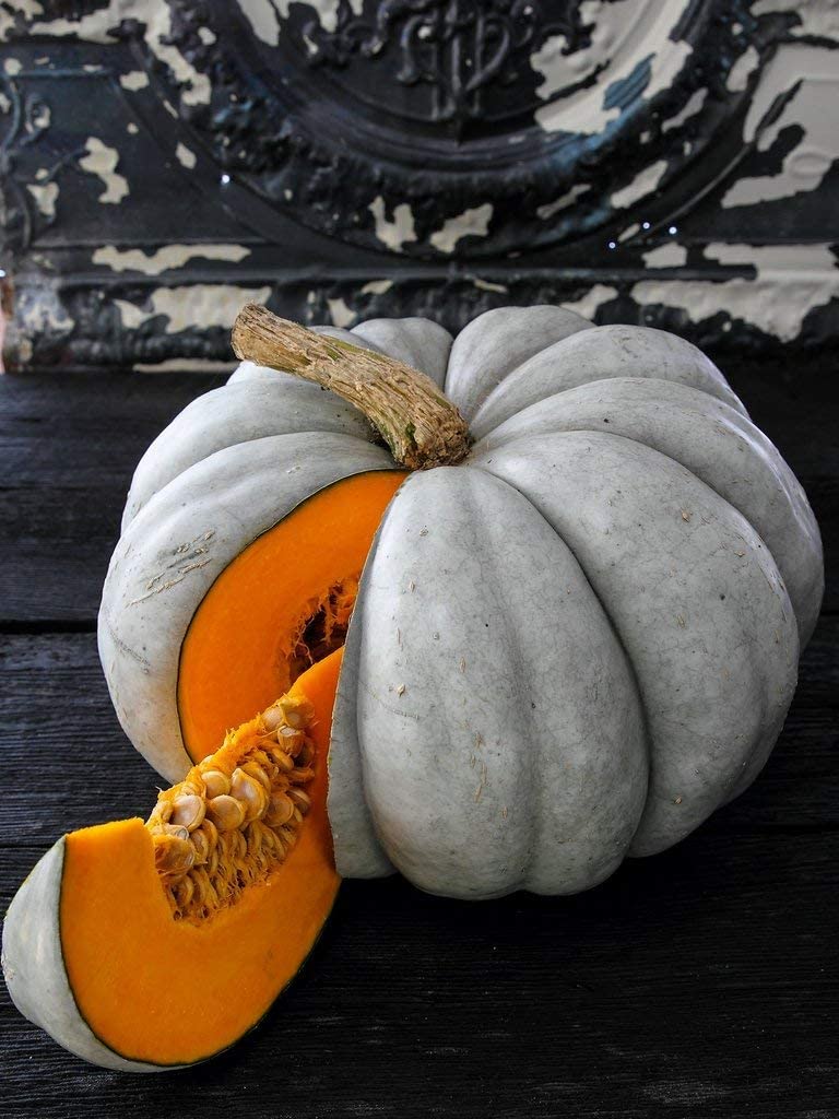 Jarradale Pumpkin Seeds, 10 Heirloom Seeds Per Packet, Non GMO Seeds, Botanical Name: Cucurbita Maxima