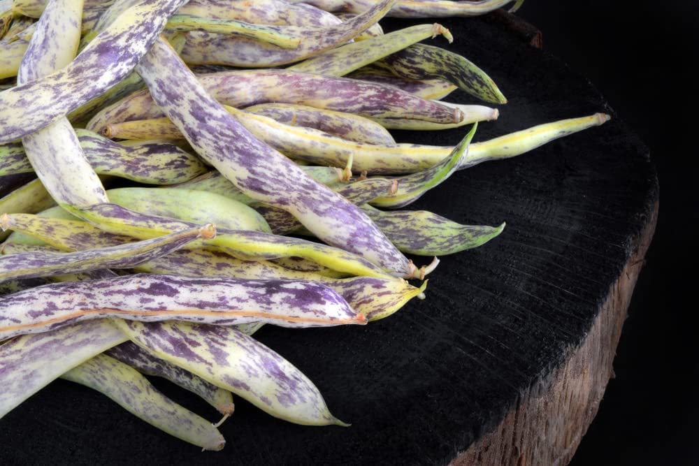 Dragon's Tongue Bush Bean Dragon Langerie , 25 Heirloom Seeds Per Packet, Non GMO Seeds