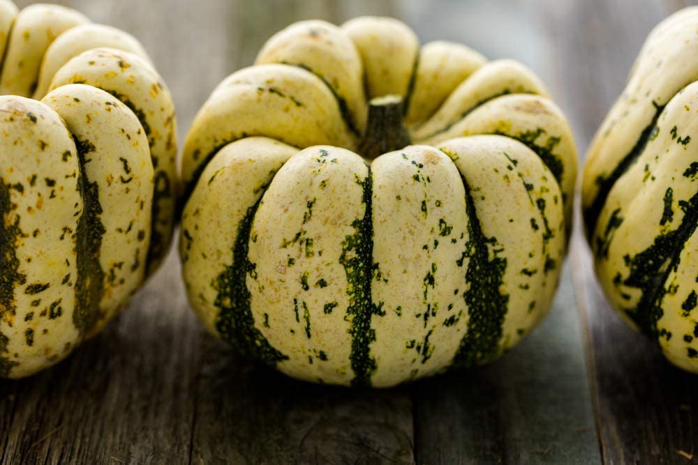 Sweet Dumpling Winter Squash, 50 Heirloom Seeds Per Packet, Non GMO Seeds