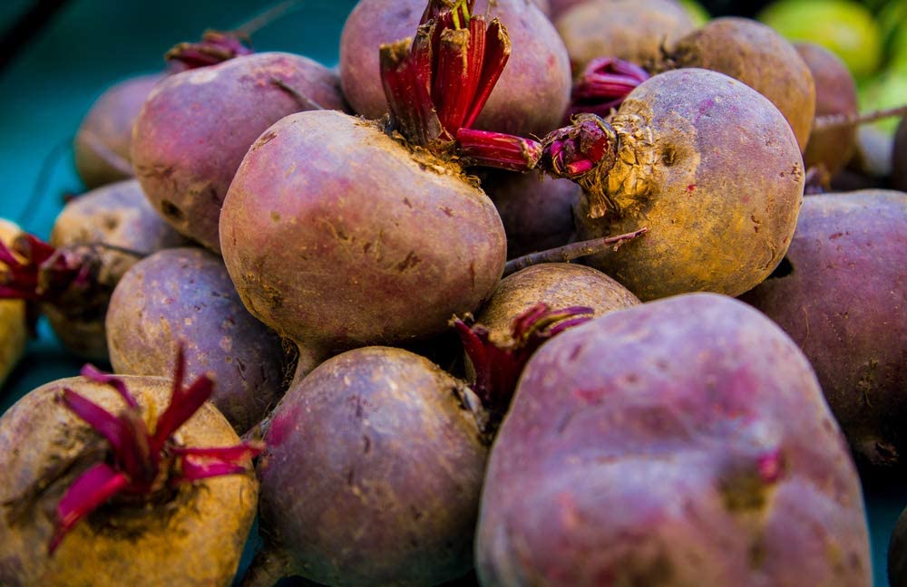 Red Ace Hybrid Beet, 100 Heirloom Seeds Per Packet, Non GMO Seeds