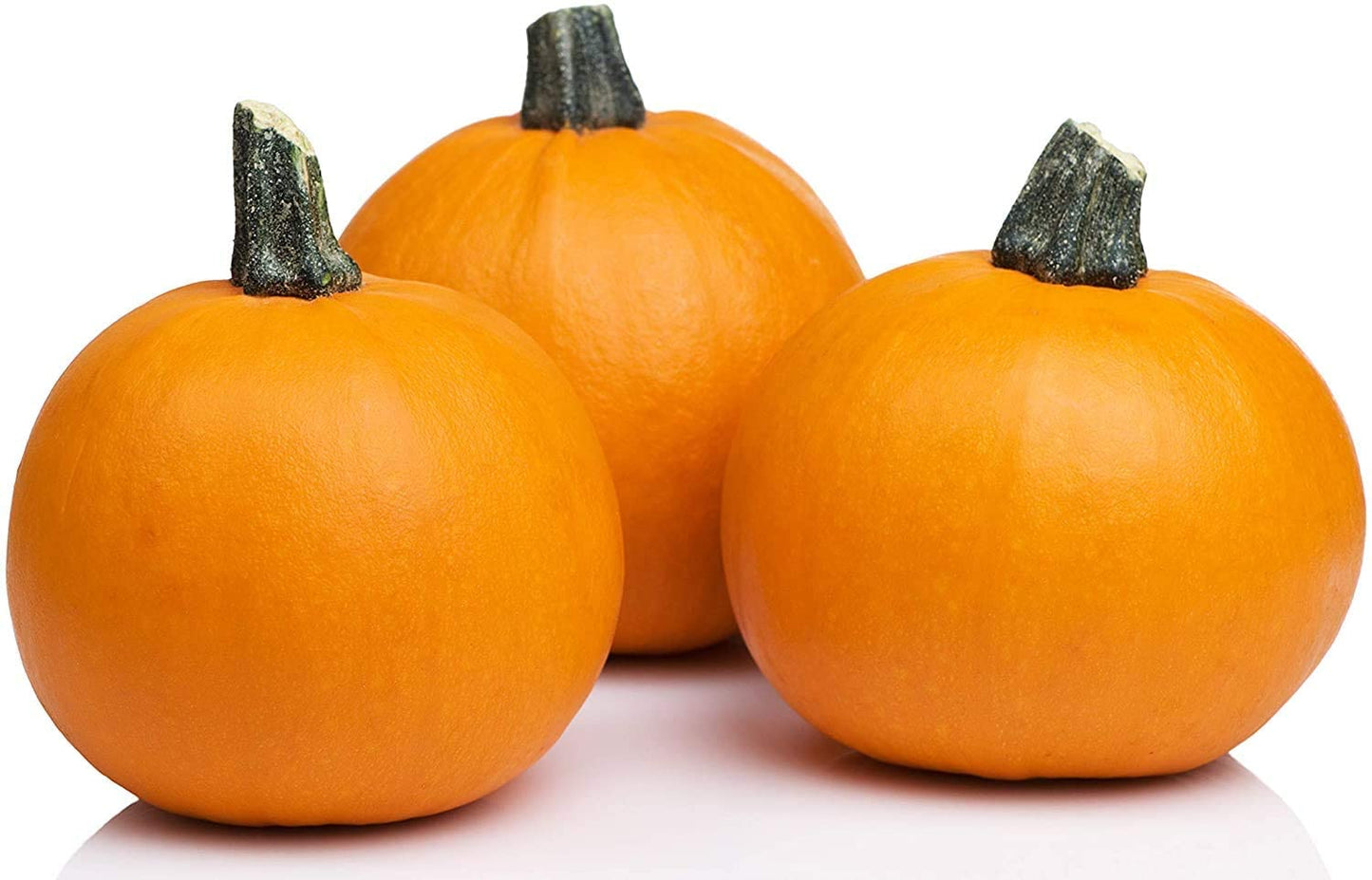 Sugar Pie Pumpkin, 20 Heirloom Seeds Per Packet, Non GMO Seeds