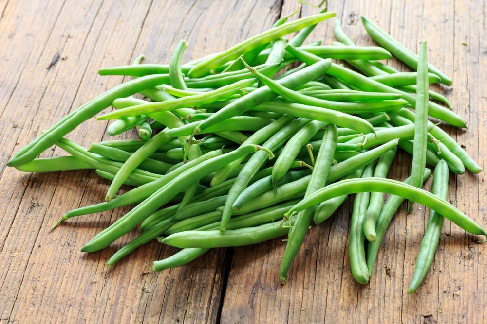 Kentucky Blue pole bean, 30 Heirloom Seeds Per Packet, Non GMO Seeds