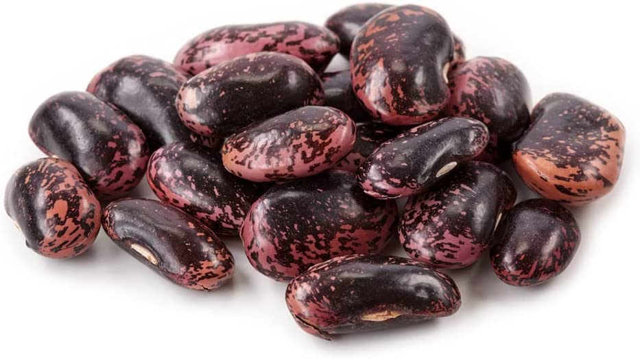 Scarlet Runner Pole Bean, 25 Heirloom Seeds Per Packet, Non GMO Seeds