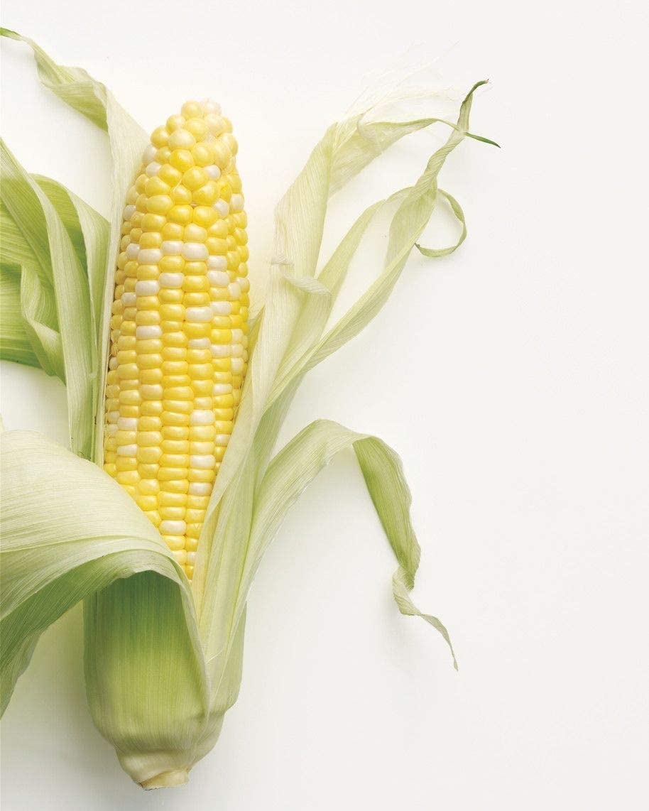 "Fantastic XR" Bi-Color Sweet Corn, 50+ Heirloom Seeds Per Packet, Non GMO Seeds, Botanical Name: Zea mays