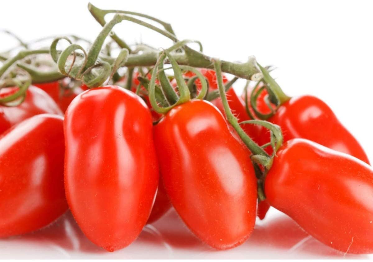 San Marzano II Italian Tomato