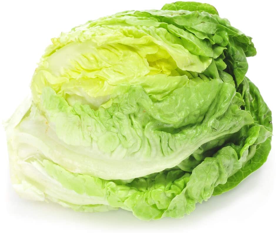 Hanson Improved Crisphead Lettuce, 1000 Heirloom Seeds Per Packet, Non GMO Seeds