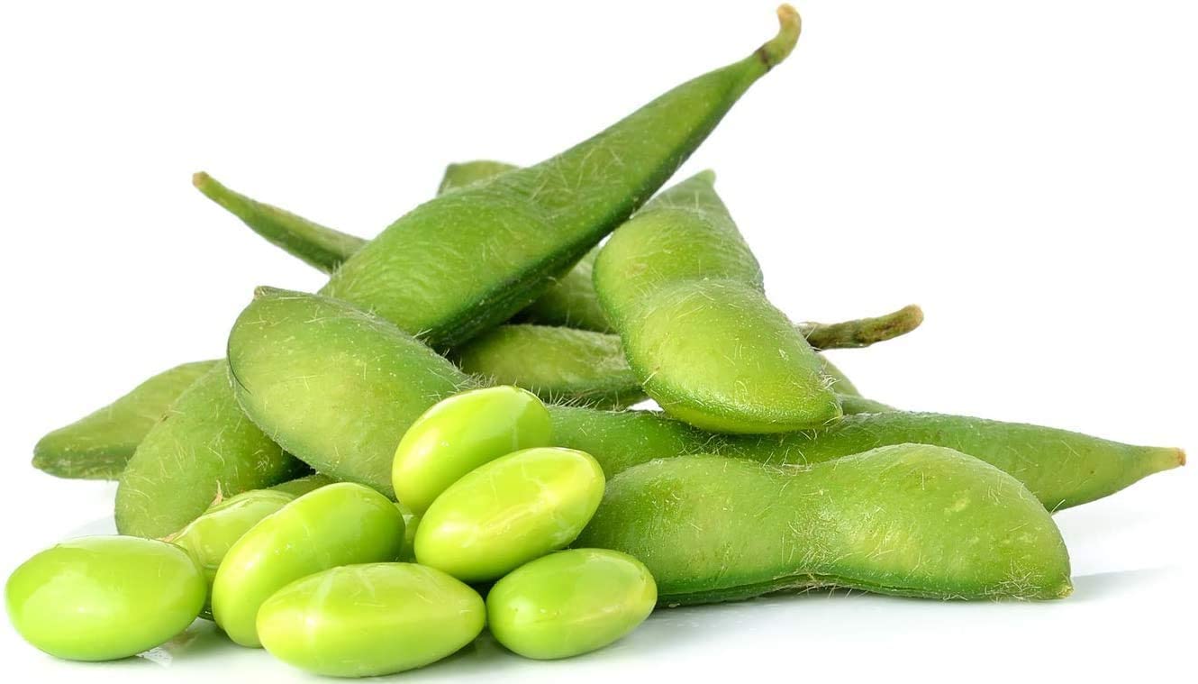 Midori Giant Edamame Soybean