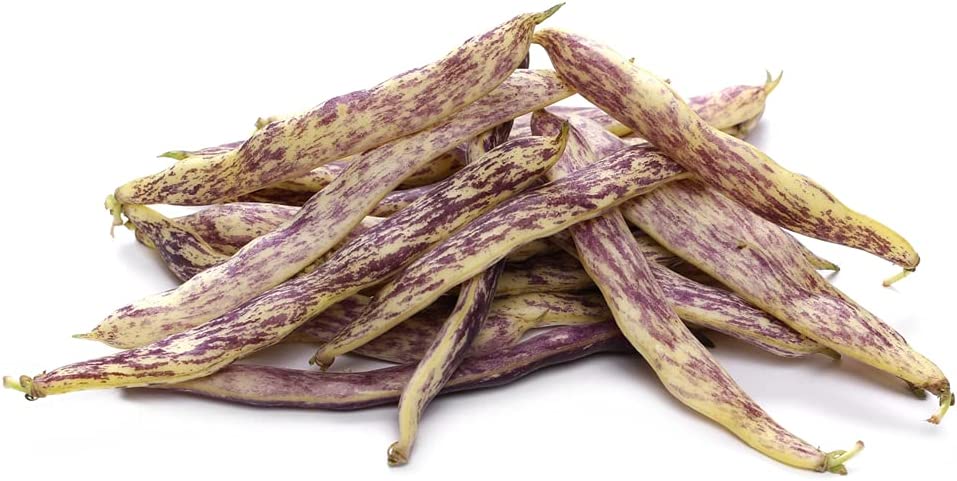 Dragon's Tongue Bush Bean Dragon Langerie , 25 Heirloom Seeds Per Packet, Non GMO Seeds