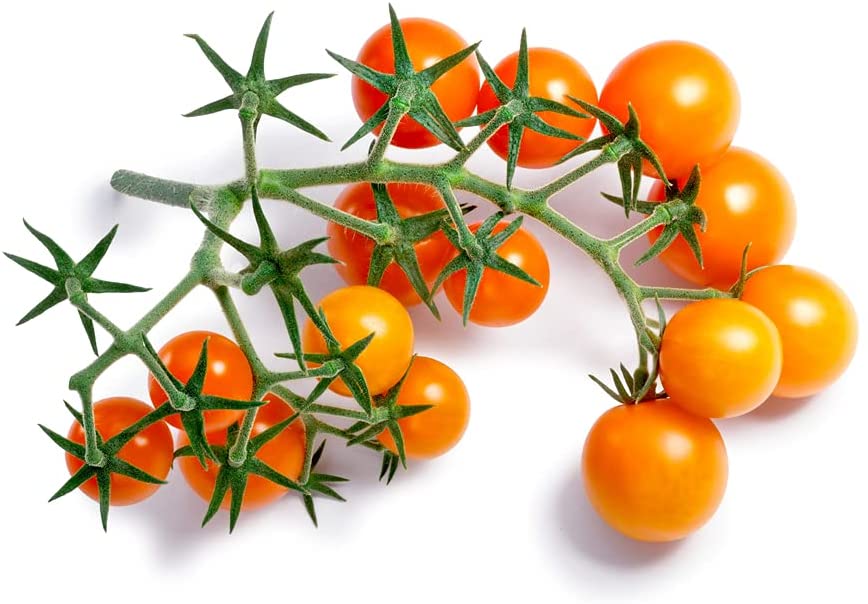Sunsugar Tomato