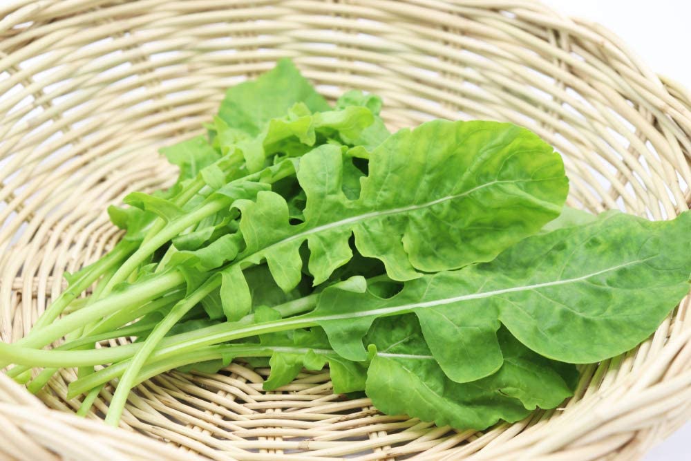 Astro Arugula, 1000 Heirloom Seeds Per Packet, Non GMO Seeds