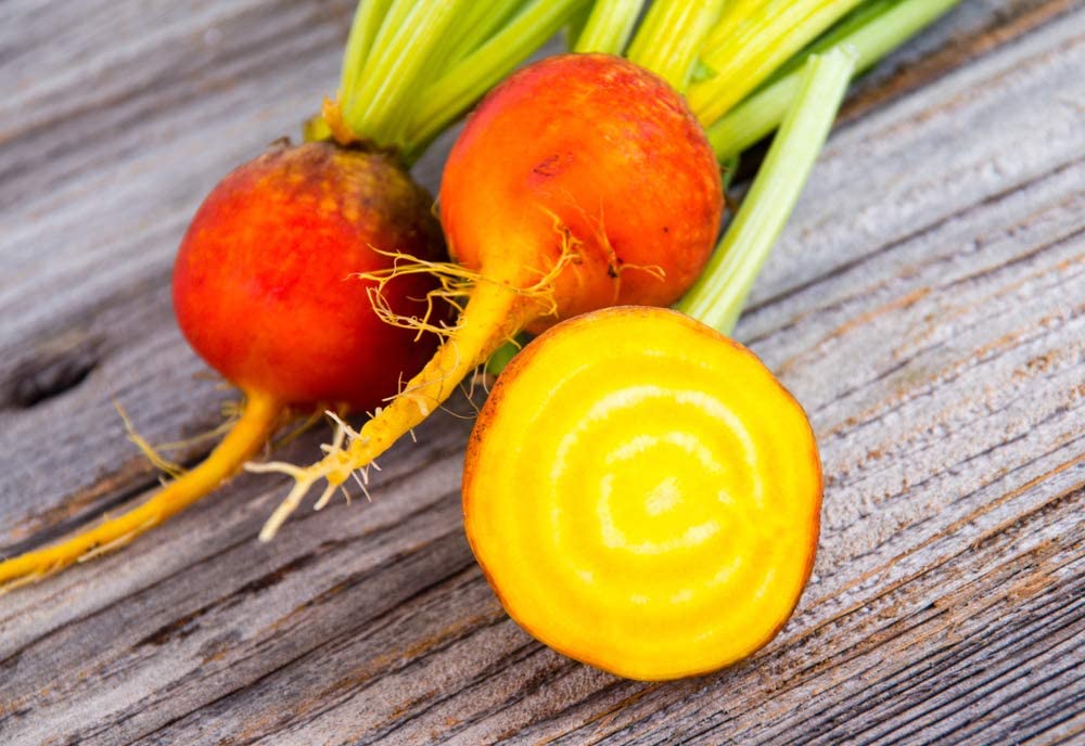 Golden Detroit Beet, 100 Heirloom Seeds Per Packet, Non GMO Seeds