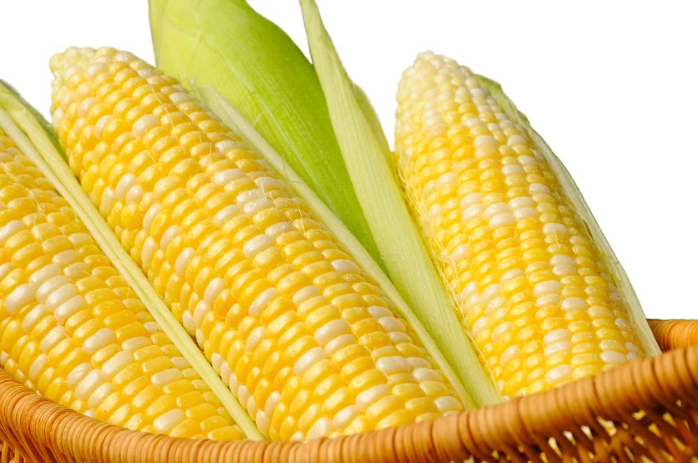 "Peaches and Cream" Bi-Color Sweet Corn Seeds for Planting, 25+ Heirloom Seeds Per Packet, Non GMO Seeds, Botanical Name: Zea Mays