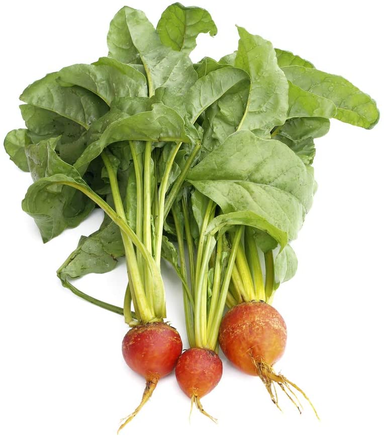 Golden Detroit Beet, 100 Heirloom Seeds Per Packet, Non GMO Seeds