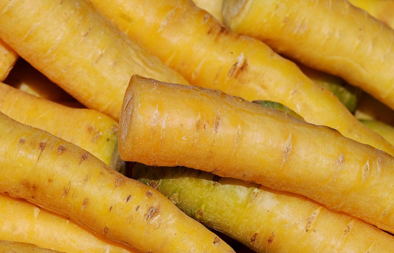 Mello Yellow Hybrid Carrot, 100 Heirloom Seeds Per Packet, Non GMO Seeds