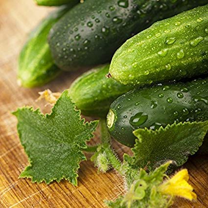 Long Green Improved Cucumber Seeds, 100 Heirloom Seeds Per Packet, Non GMO Seeds