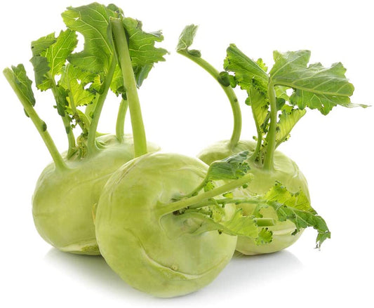 Early White Vienna Kohlrabi, 300 Heirloom Seeds Per Packet, Non GMO Seeds