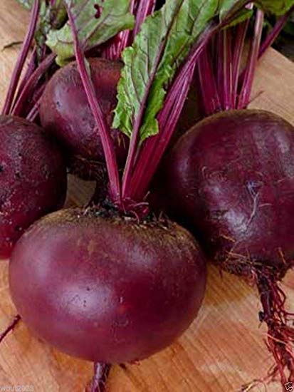 Bull's Blood Beet Seeds, 100+ Heirloom Seeds Per Packet, Non GMO Seeds, Botanical Name: Beta vulgaris
