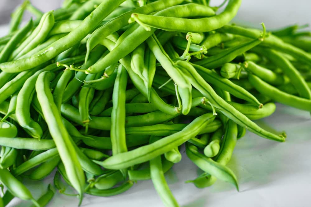 Kentucky Blue pole bean, 30 Heirloom Seeds Per Packet, Non GMO Seeds