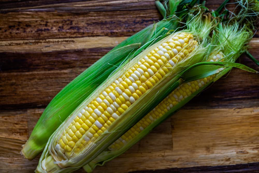 Serendipity BiColor Sweet Corn, 75+ Heirloom Seeds Per Packet, Non GMO Seeds, Botanical Name: Zea Mays