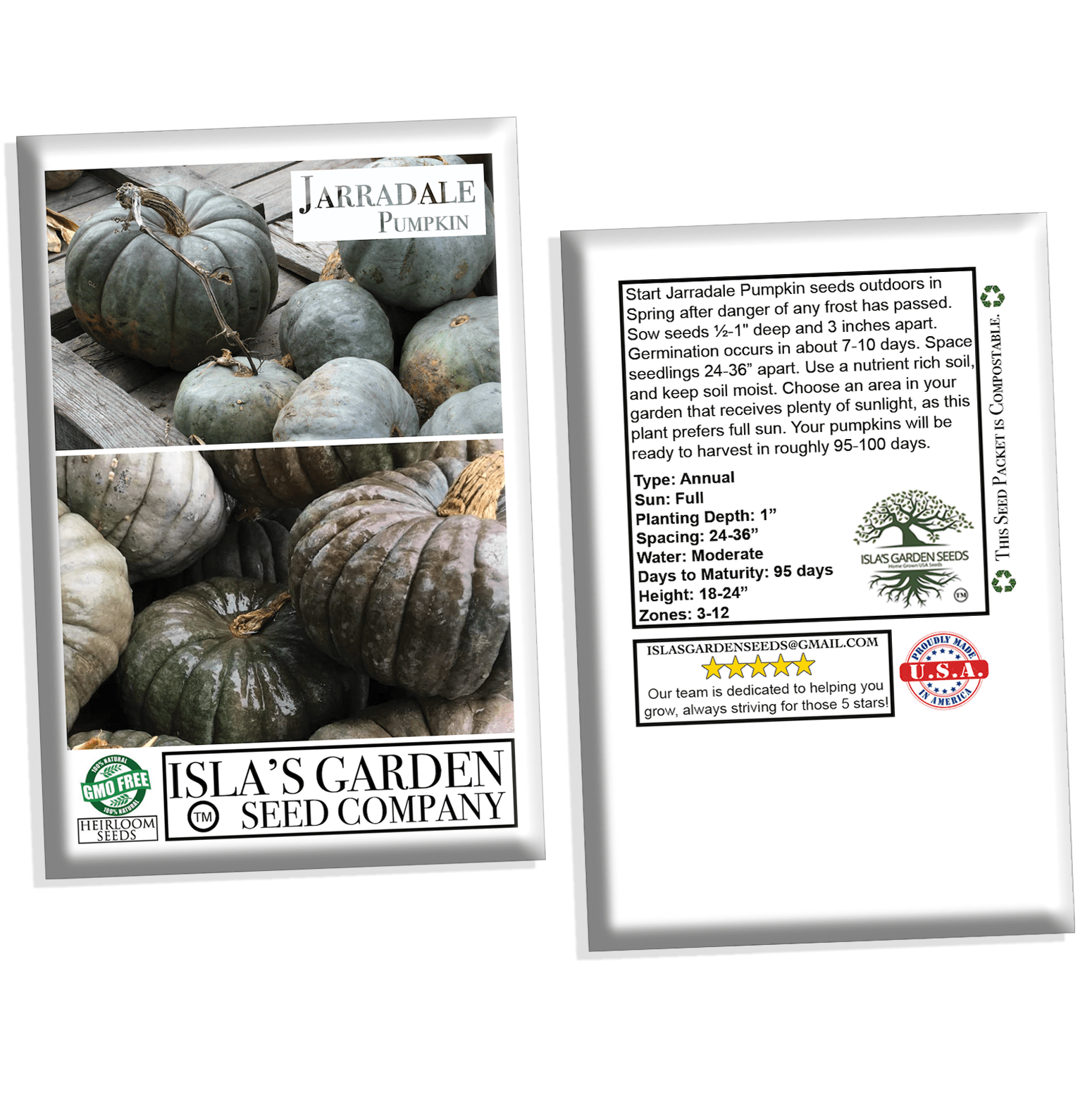 Jarradale Pumpkin Seeds, 10 Heirloom Seeds Per Packet, Non GMO Seeds, Botanical Name: Cucurbita Maxima