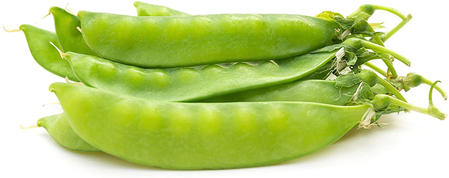 Dwarf Grey Sugar Pea, 30 Heirloom Seeds Per Packet, Non GMO Seeds