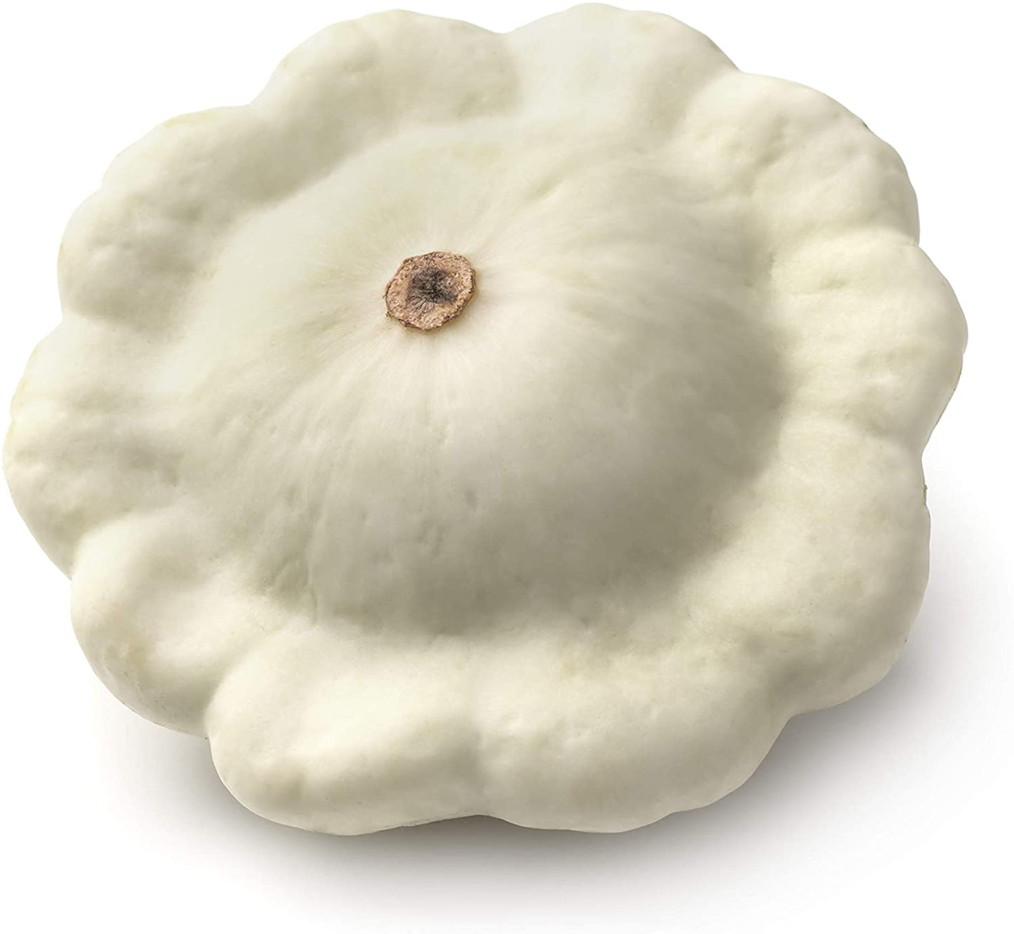 Early White Bush Scallop Summer Squash, 30 Heirloom Seeds Per Packet, Non GMO Seeds