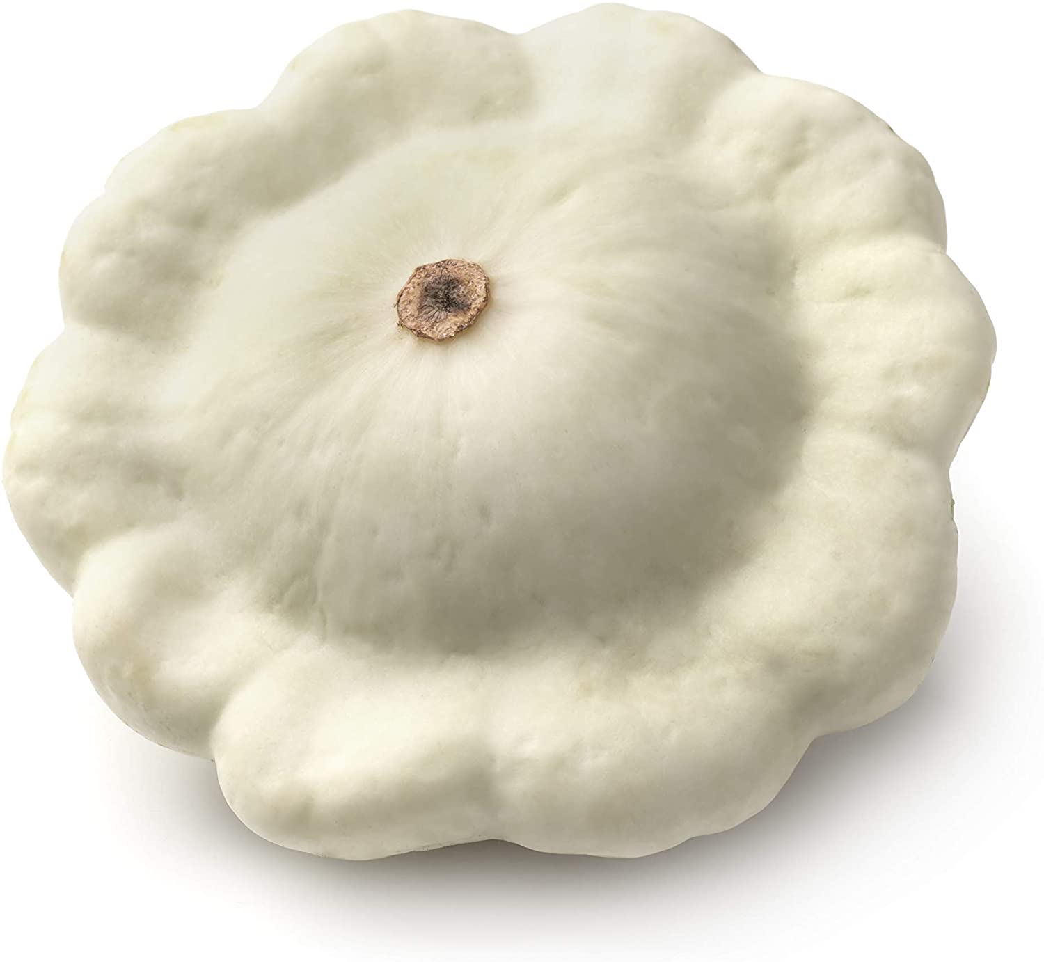 Early White Bush Scallop Summer Squash, 30 Heirloom Seeds Per Packet, Non GMO Seeds