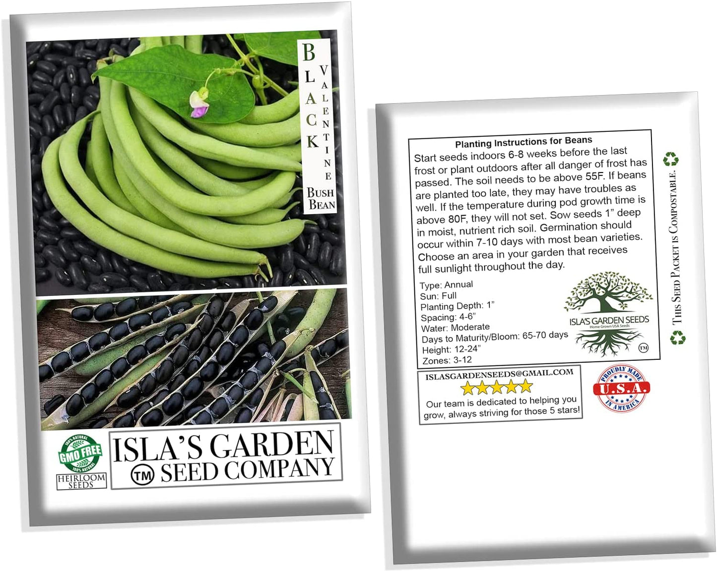 Black Valentine Bush Bean, 50 Heirloom Seeds Per Packet, Non GMO Seeds