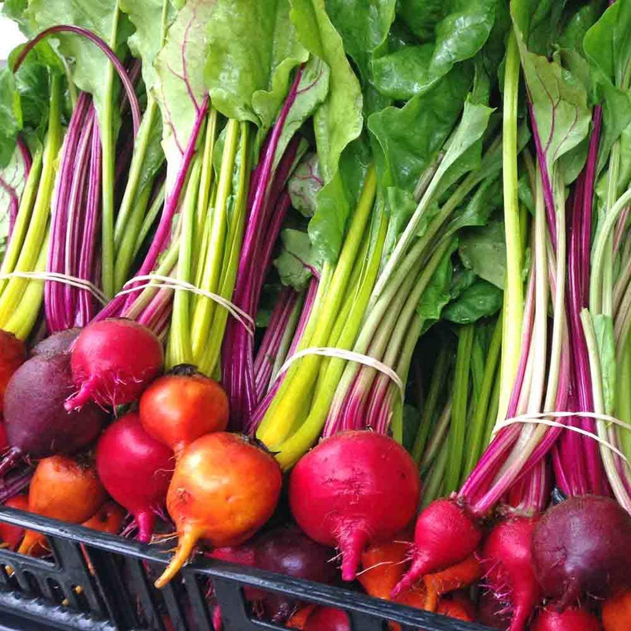 Rainbow Mix Beet Seeds, 100 Heirloom Seeds Per Packet, Non GMO Seeds