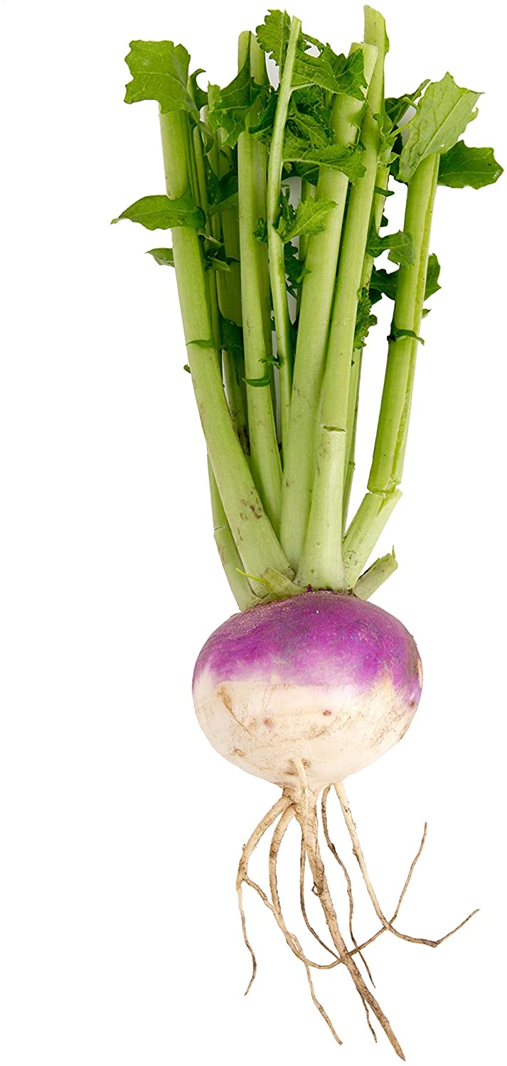 Purple Top Turnip, 1000 Heirloom Seeds Per Packet, Non GMO Seeds