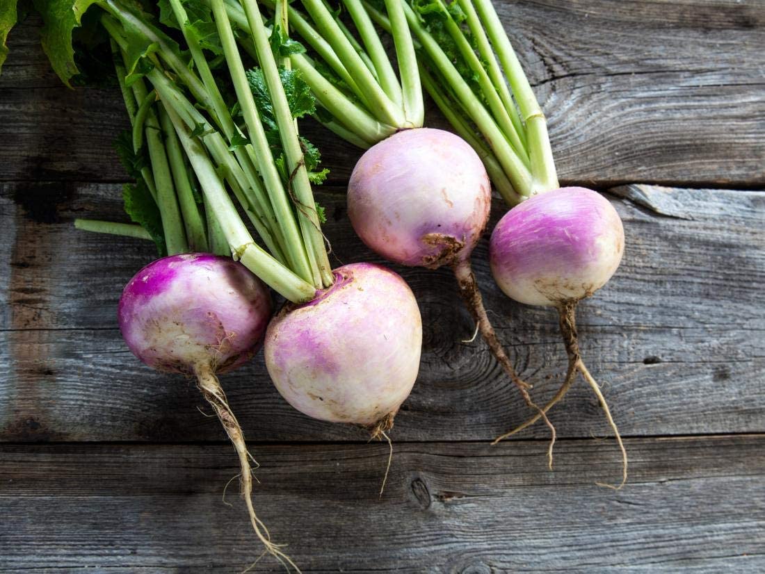 Purple Top Turnip, 1000 Heirloom Seeds Per Packet, Non GMO Seeds